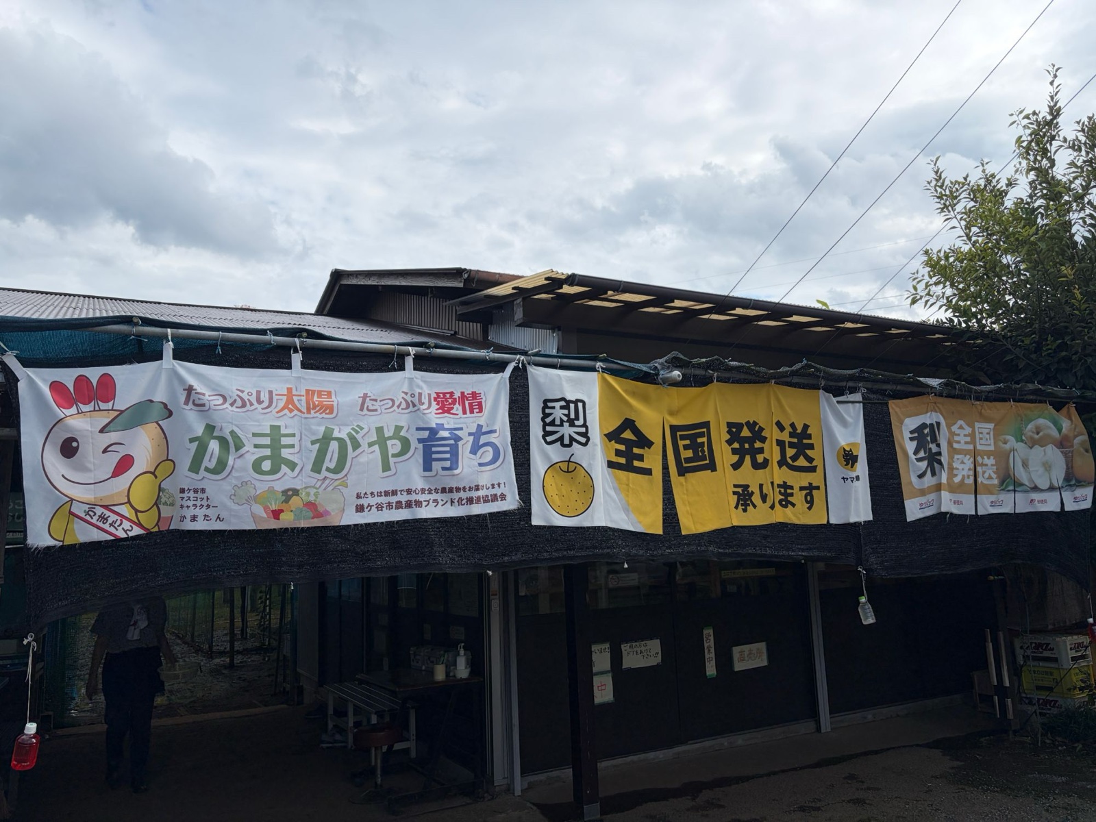 石井テル園の直売所と「梨 全国発送」ののれん