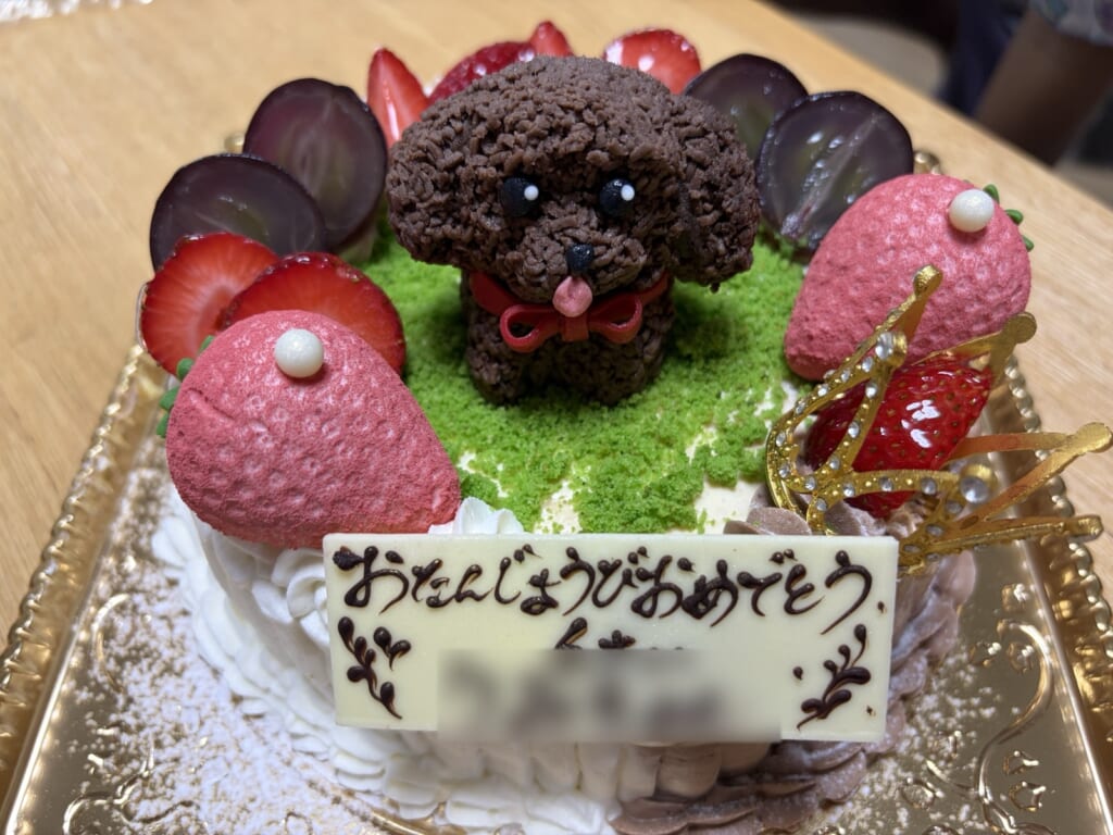 デフィにオーダーしたトイプードルのケーキ