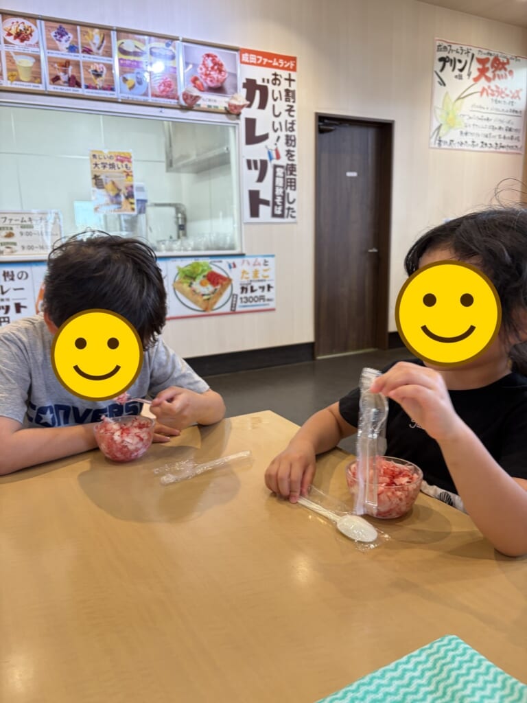 成田ファームランドのいちごのかき氷