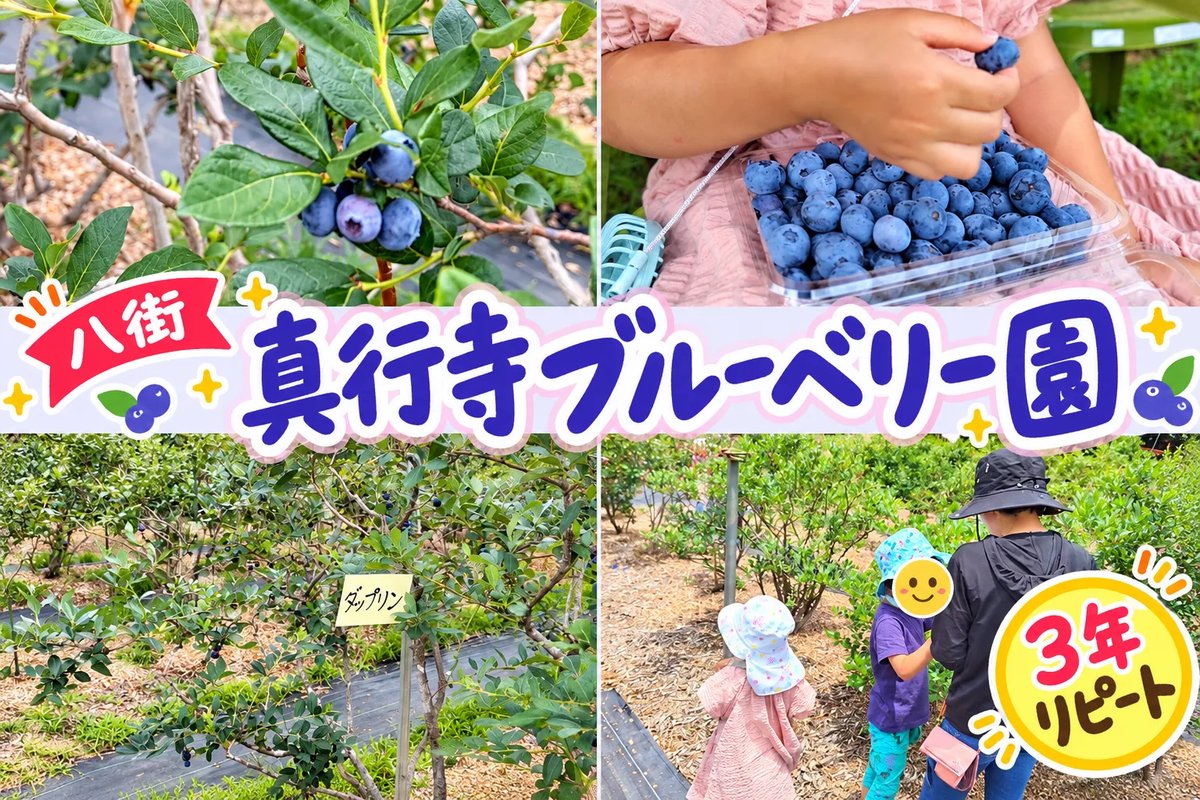真行寺ブルーベリー園のブルーベリー狩り 3年リピートのレビュー